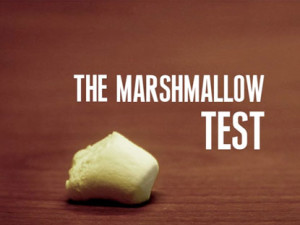 themarshmallowtest