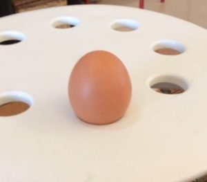 egg 4